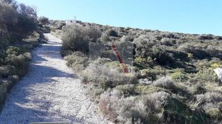 Αγροτεμάχια 2.490 τ.μ. προς πώληση, Τσακαίοι-thumb-1