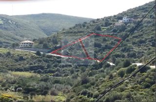 Αγροτεμάχια 2.490 τ.μ. προς πώληση, Τσακαίοι-thumb-2