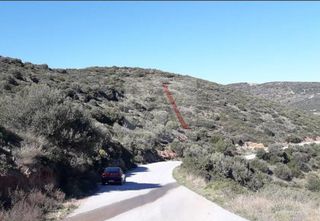 Αγροτεμάχια 2.490 τ.μ. προς πώληση, Τσακαίοι-thumb-4