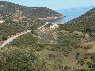 Αγροτεμάχια 2.490 τ.μ. προς πώληση, Τσακαίοι-thumb-5
