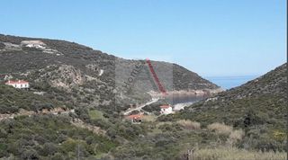 Αγροτεμάχια 2.490 τ.μ. προς πώληση, Τσακαίοι-thumb-8