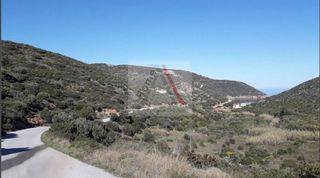 Αγροτεμάχια 2.490 τ.μ. προς πώληση, Τσακαίοι-thumb-9