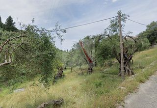 Αγροτεμάχια 1.100 τ.μ. για πώληση