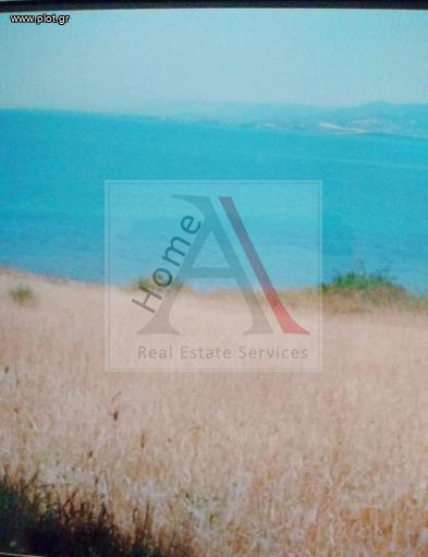 Αγροτεμάχια 971 τ.μ. προς πώληση, Βασιλίνα