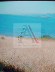 Αγροτεμάχια 971 τ.μ. προς πώληση, Βασιλίνα-thumb-2