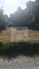 Αγροτεμάχια 971 τ.μ. προς πώληση, Βασιλίνα-thumb-6