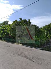 Αγροτεμάχια 450 τ.μ. για πώληση