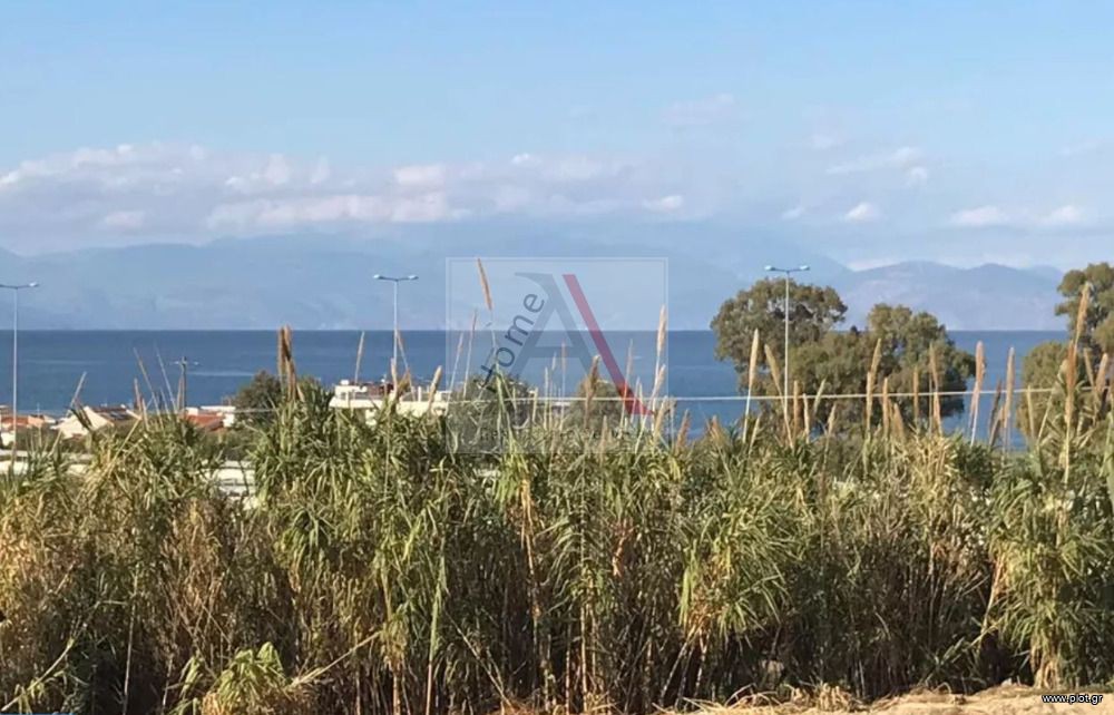 Αγροτεμάχια 317 τ.μ. προς πώληση, Μελίσσι Ξυλοκάστρου