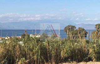 Αγροτεμάχια 317 τ.μ. για πώληση