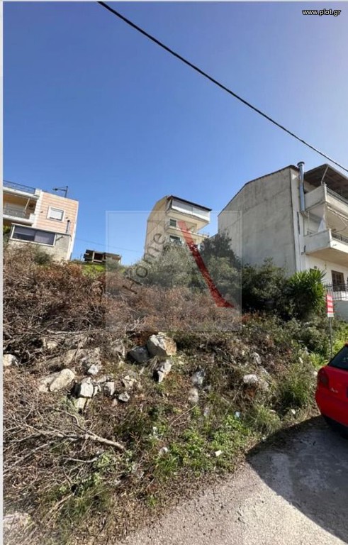 Αγροτεμάχια 281 τ.μ. προς πώληση, Κάστρο Χαλκίδας