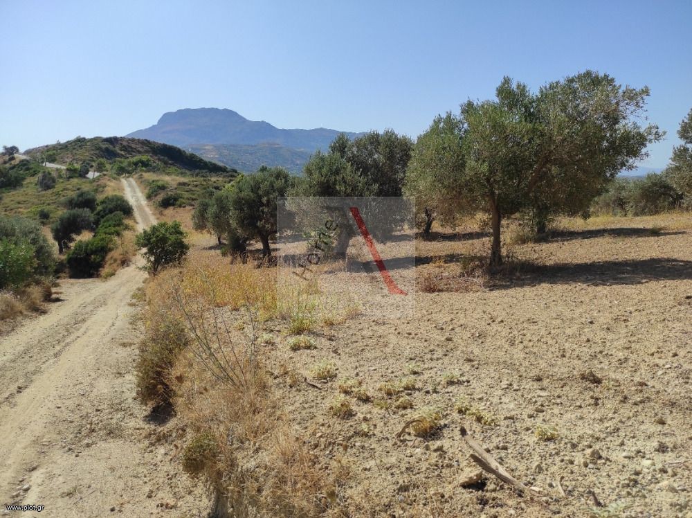 Οικόπεδο 8.500 τ.μ. προς πώληση, Οξύλιθος