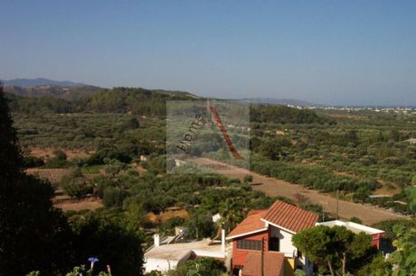 Αγροτεμάχια 2.870 τ.μ. για πώληση