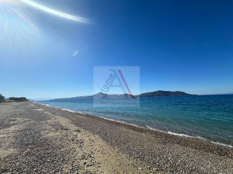 Αγροτεμάχια 720 τ.μ. για πώληση