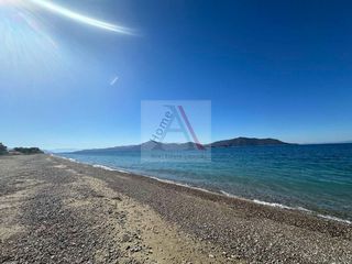 Αγροτεμάχια 720 τ.μ. για πώληση