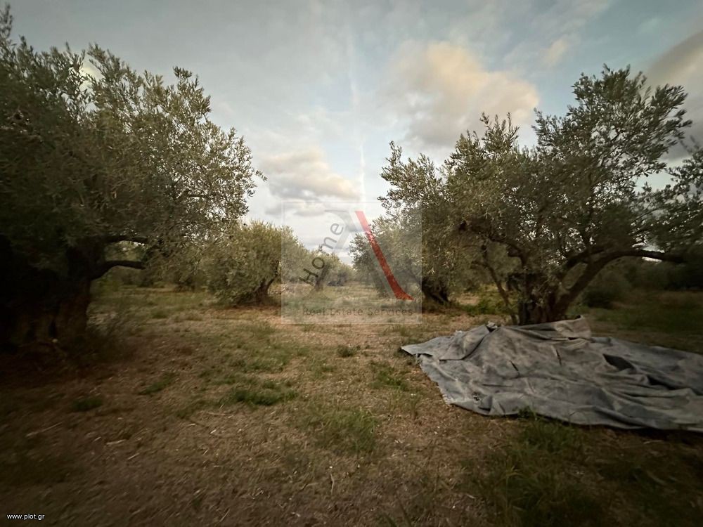 Αγροτεμάχια 720 τ.μ. προς πώληση, Κανατάδικα