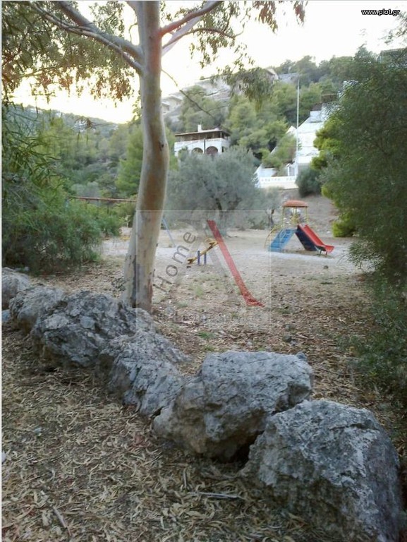 Αγροτεμάχια 517 τ.μ. προς πώληση, Πευκάλι