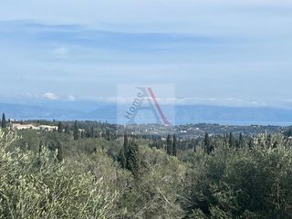 Αγροτεμάχια 1.231 τ.μ. για πώληση