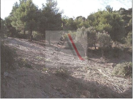 Οικόπεδο 4.850 τ.μ. για πώληση