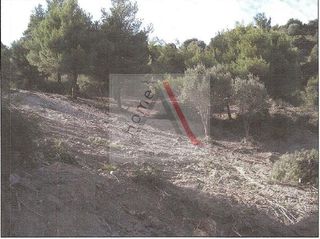Οικόπεδο 4.850 τ.μ. για πώληση