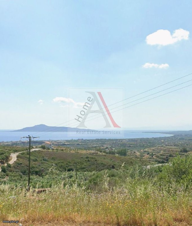 Αγροτεμάχια 1.811 τ.μ. προς πώληση, Μεσοχώρι Βοιών