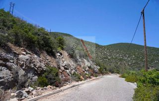 Αγροτεμάχια 1.020 τ.μ. για πώληση