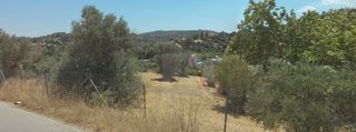 Αγροτεμάχια 2.000 τ.μ. για πώληση