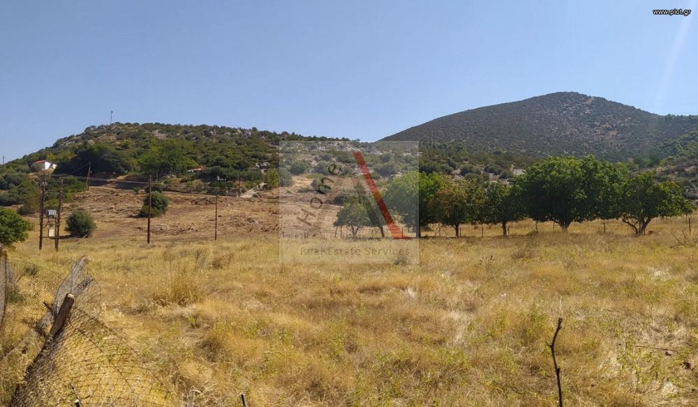 Αγροτεμάχια 350 τ.μ. προς πώληση, Έξω Παναγίτσα