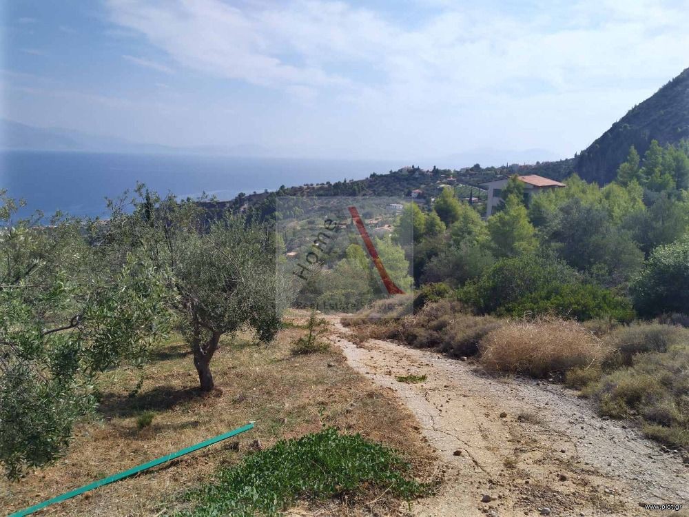 Αγροτεμάχια 2.000 τ.μ. προς πώληση, Άνω Λουτρό