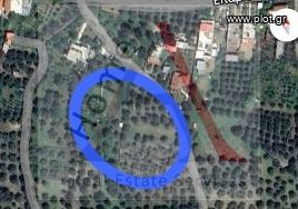 Αγροτεμάχια 586 τ.μ. προς πώληση, Αβδού