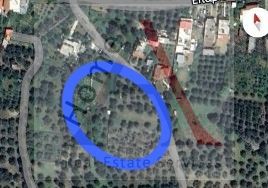 Αγροτεμάχια 586 τ.μ. για πώληση