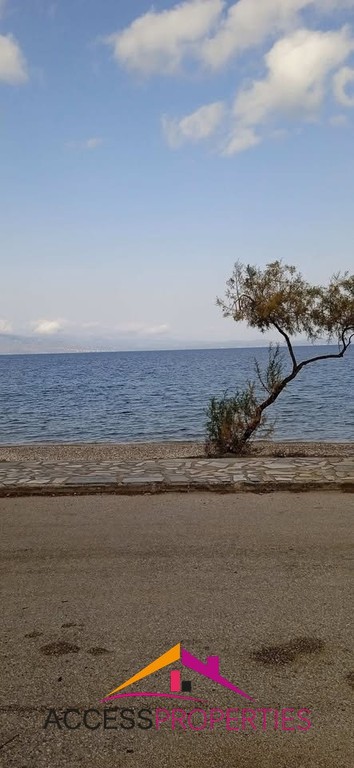 Οικόπεδο 1.278 τ.μ. πρός πώληση, Αθήνα - Ανατολικά Προάστια, Βαρνάβας