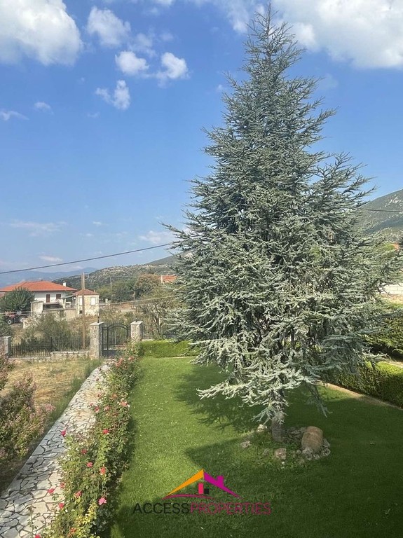 Μονοκατοικία 230 τ.μ. πρός πώληση, Φθιώτιδας, Αμφίκλεια