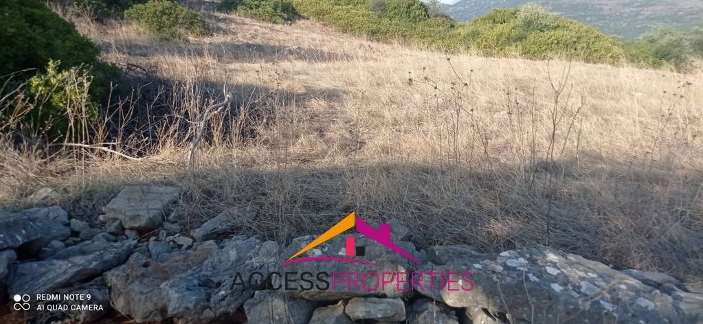 Οικόπεδο 1.720 τ.μ. πρός πώληση, Φωκίδα, Τολοφώνα