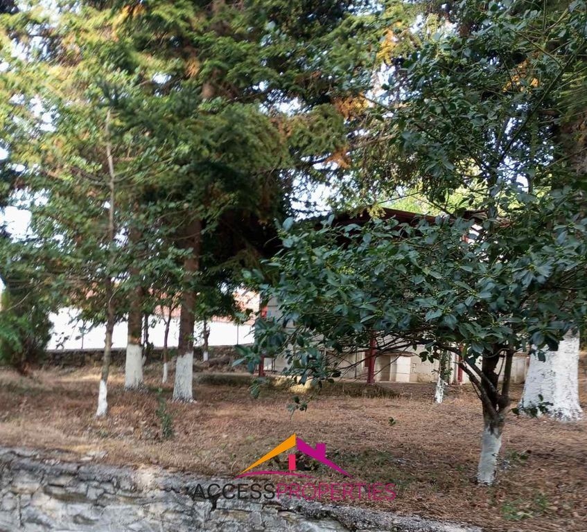 Μονοκατοικία 100 τ.μ. πρός πώληση, Μαγνησία, Αλμυρός