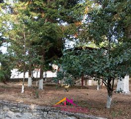 Μονοκατοικία 100 τ.μ. για πώληση