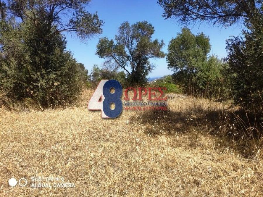 Αγροτεμάχια 632 τ.μ. προς πώληση, Άγιος Μηνάς Χίου