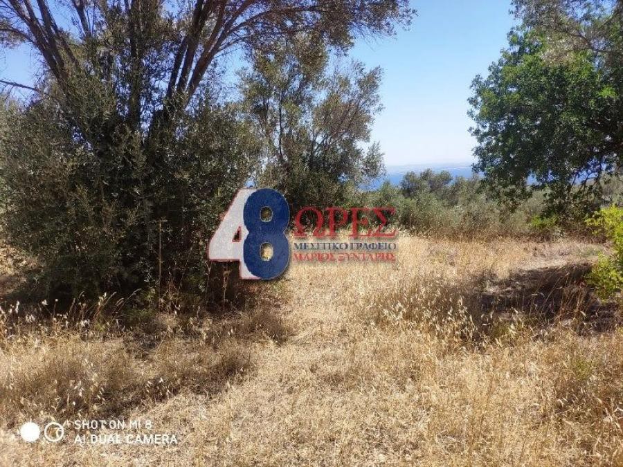 Αγροτεμάχια 632 τ.μ. προς πώληση, Άγιος Μηνάς Χίου