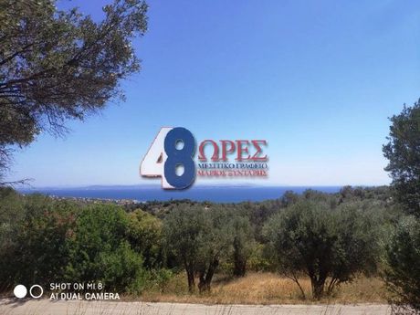 Αγροτεμάχια 632 τ.μ. προς πώληση