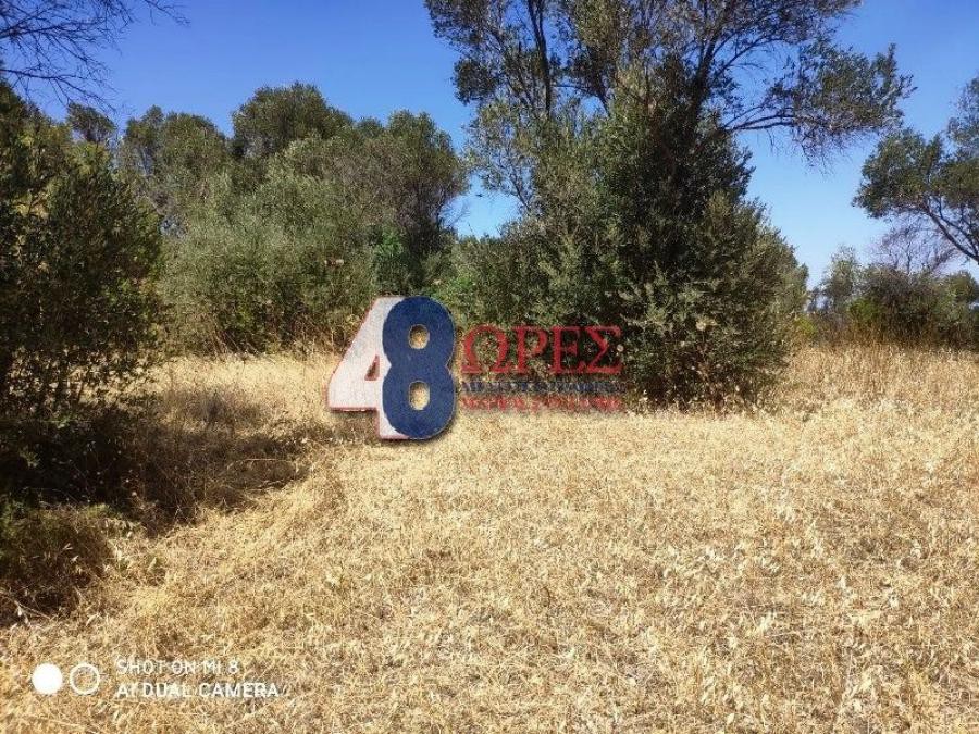 Αγροτεμάχια 632 τ.μ. προς πώληση, Άγιος Μηνάς Χίου