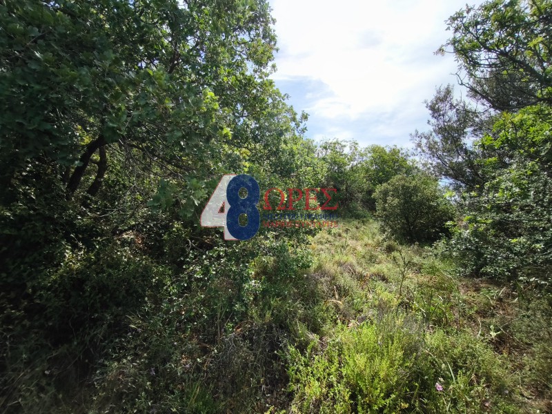 Αγροτεμάχια 996 τ.μ. προς πώληση, Πόλη Χίου