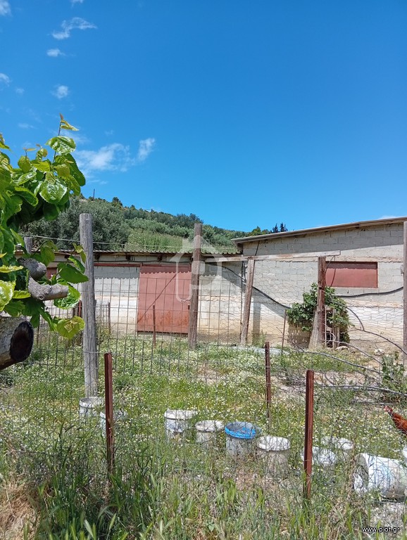 Αγροτεμάχια 550 τ.μ. πρός πώληση, Αχαΐα, Ακράτα