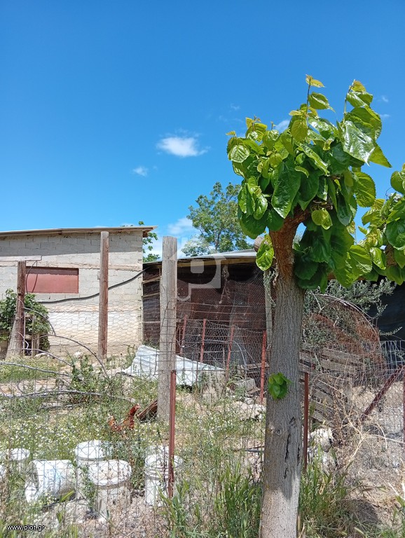 Αγροτεμάχια 550 τ.μ. πρός πώληση, Αχαΐα, Ακράτα