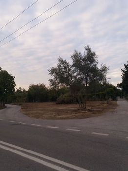 Parcel 227.850 sqm for sale