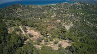 Αγροτεμάχια 9.273 τ.μ. προς πώληση, Λάκκες Κρανιδίου-thumb-15