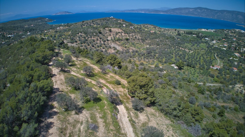 Αγροτεμάχια 9.273 τ.μ. προς πώληση, Λάκκες Κρανιδίου