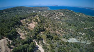 Αγροτεμάχια 9.273 τ.μ. προς πώληση, Λάκκες Κρανιδίου-thumb-12