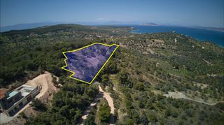 Αγροτεμάχια 9.273 τ.μ. προς πώληση, Λάκκες Κρανιδίου-thumb-1