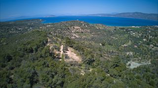 Αγροτεμάχια 9.273 τ.μ. για πώληση