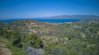 Αγροτεμάχια 9.273 τ.μ. προς πώληση, Λάκκες Κρανιδίου-thumb-11