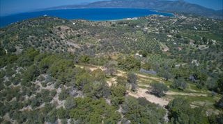 Αγροτεμάχια 9.273 τ.μ. προς πώληση, Λάκκες Κρανιδίου-thumb-5